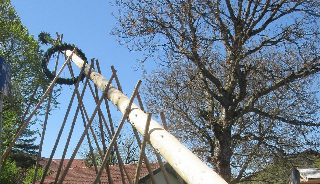 Maibaumaufstellen 2019: Alle Termine im Landkreis Traunstein