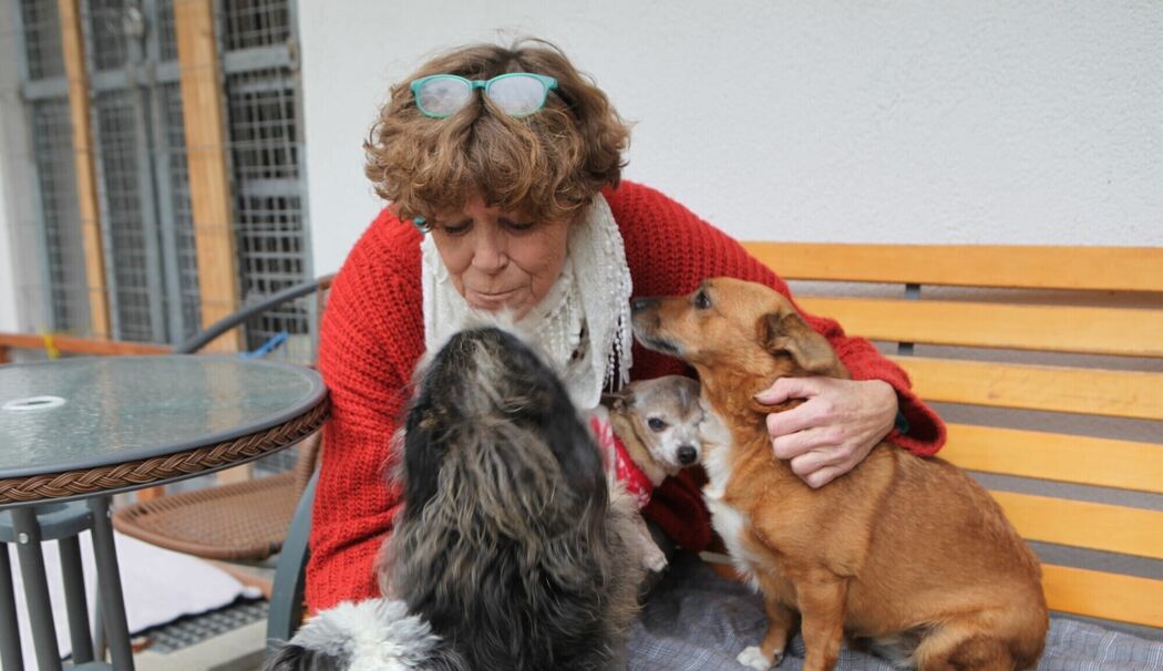 Die Hunderetterin: Iris Finsterle hat über 400 Hunde vor dem Tod bewahrt