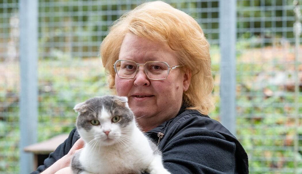 Tierheime in Bayern sind voll