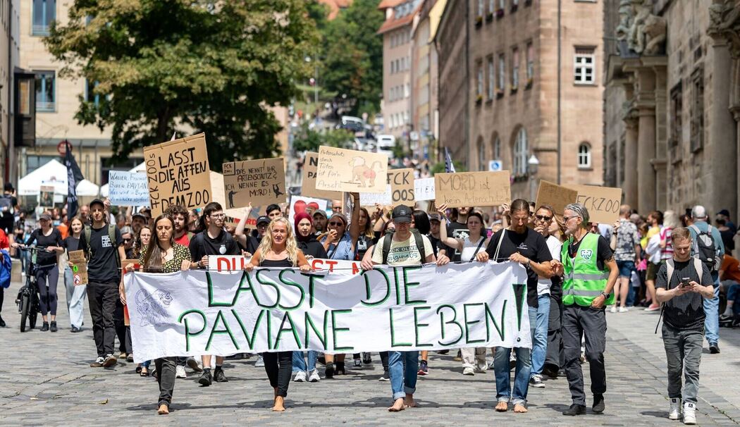 Demonstration gegen Tötung von Pavianen