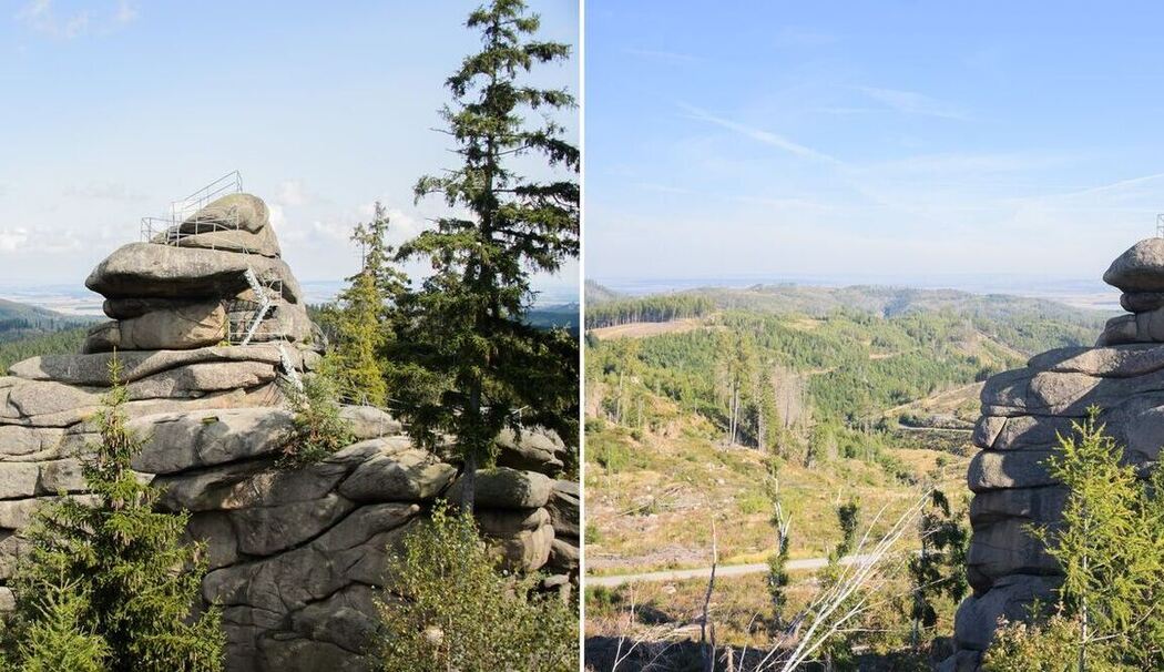 Wie der Klimawandel Deutschland verändert - Waldsterben im Harz