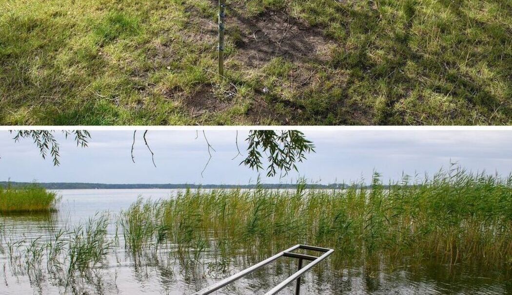 Wie der Klimawandel Deutschland verändert - Fotoserie Arendsee