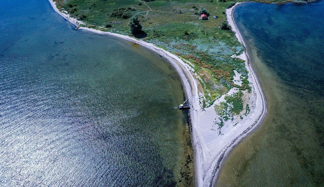 Ziegen ziehen auf Boot zur Insel Walfisch um