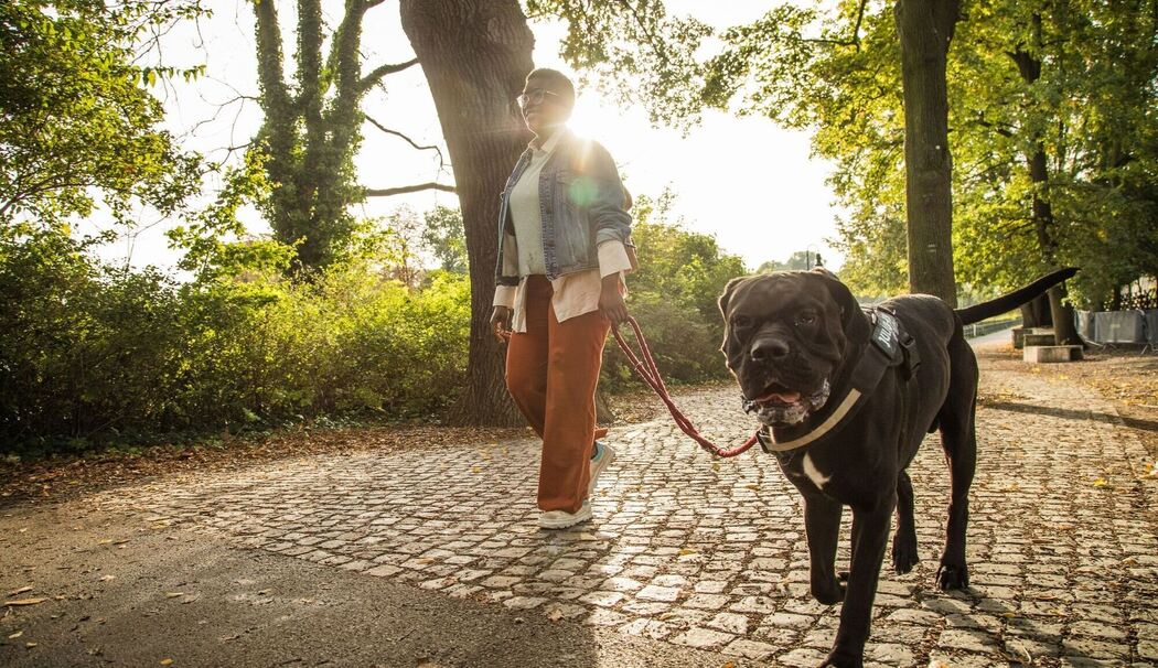 Frau geht mit ihrem Hund  im Park spazieren