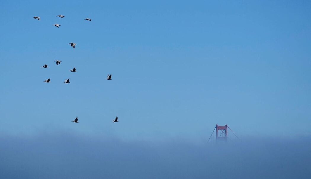 Nebel an der Golden Gate Bridge