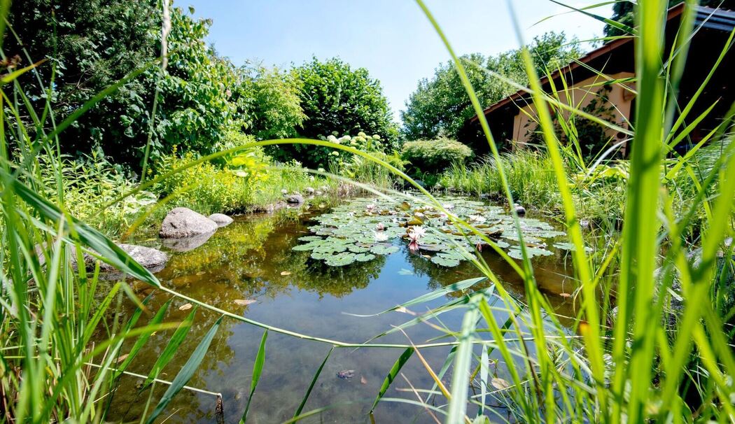 Gartenteich
