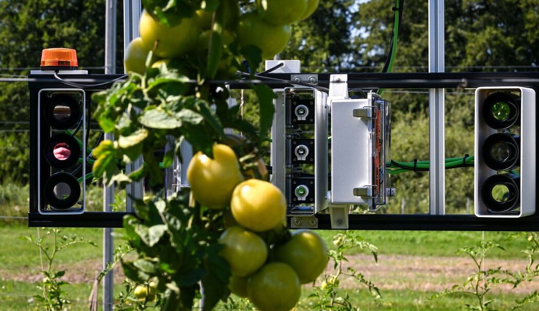 Frühwarnsystem für Sonnenschutz für Obst und Gemüse