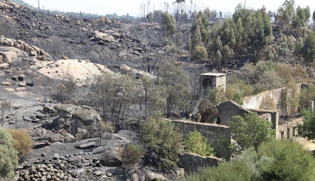 Waldbrände in Portugal