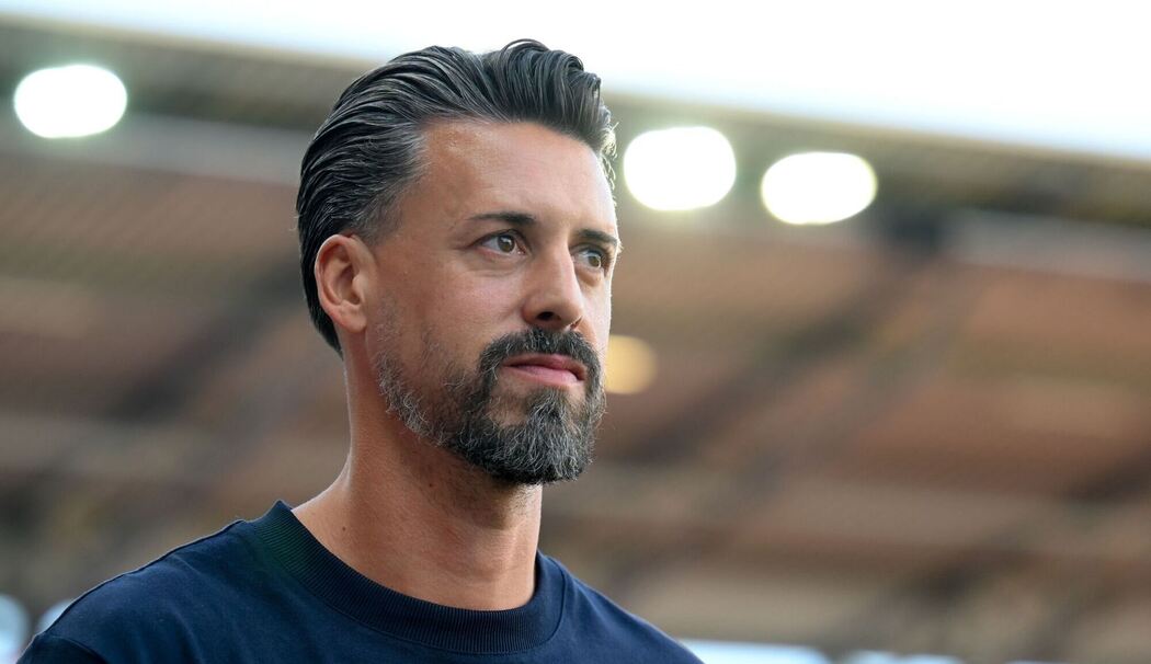 Sandro Wagner