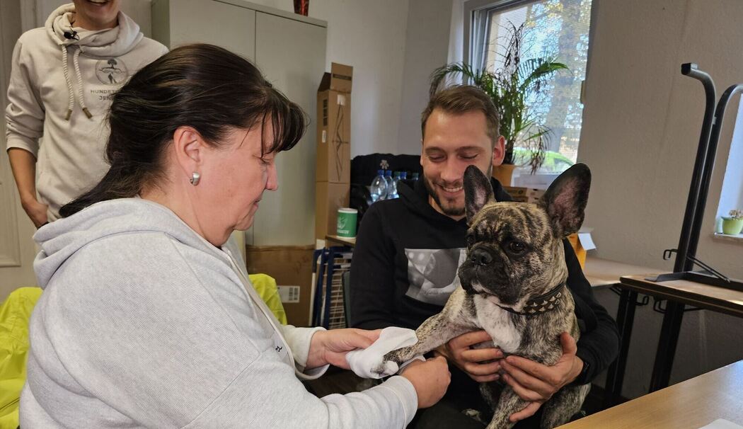 Erste-Hilfe-Kurs für Hunde