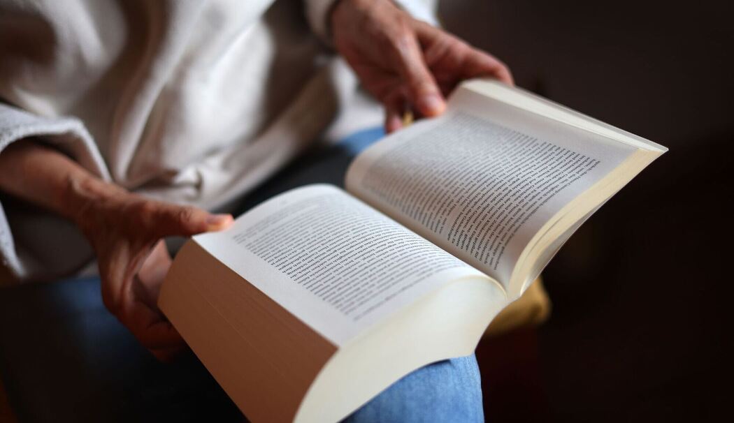 Buch lesen