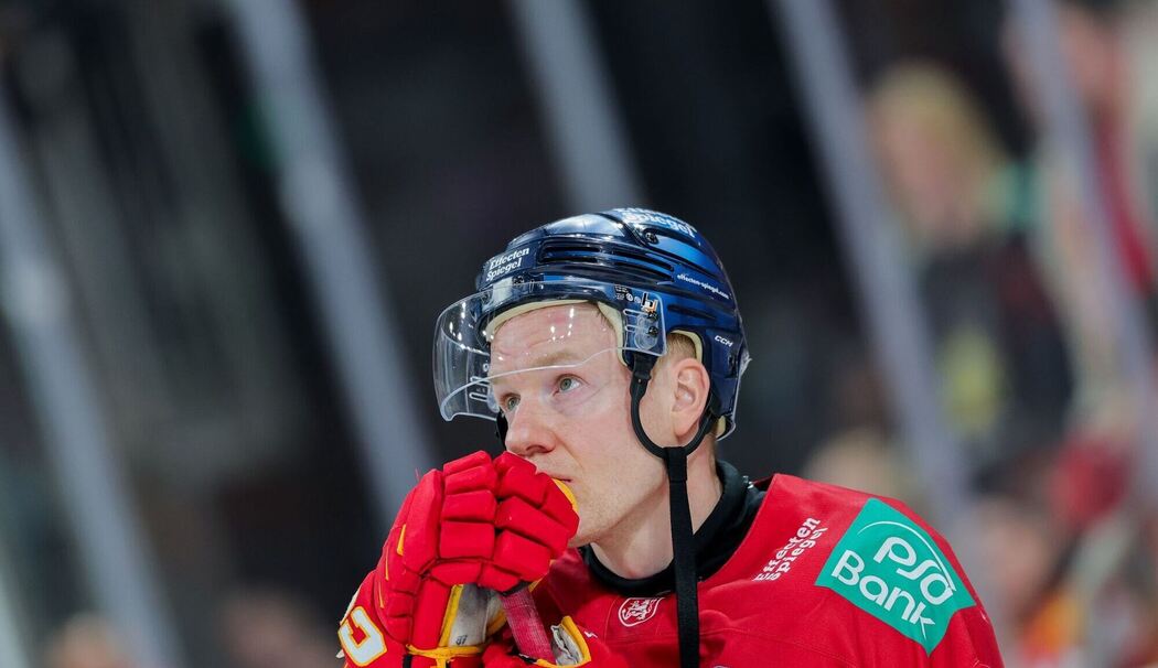 Düsseldorfer EG - Grizzlys Wolfsburg