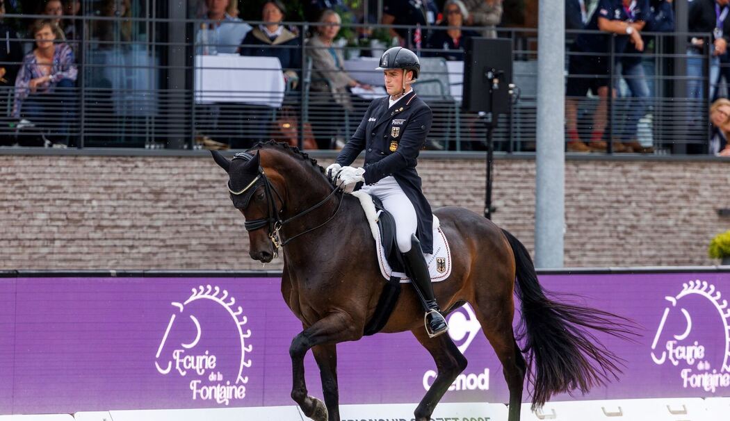 Pferdesport/Dressur: Europameisterschaft