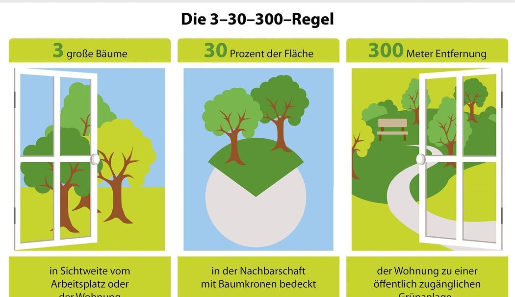 Die 3-30-300-Regel