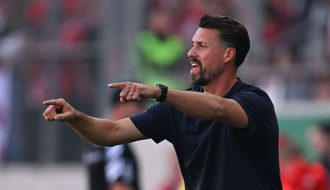 Sandro Wagner