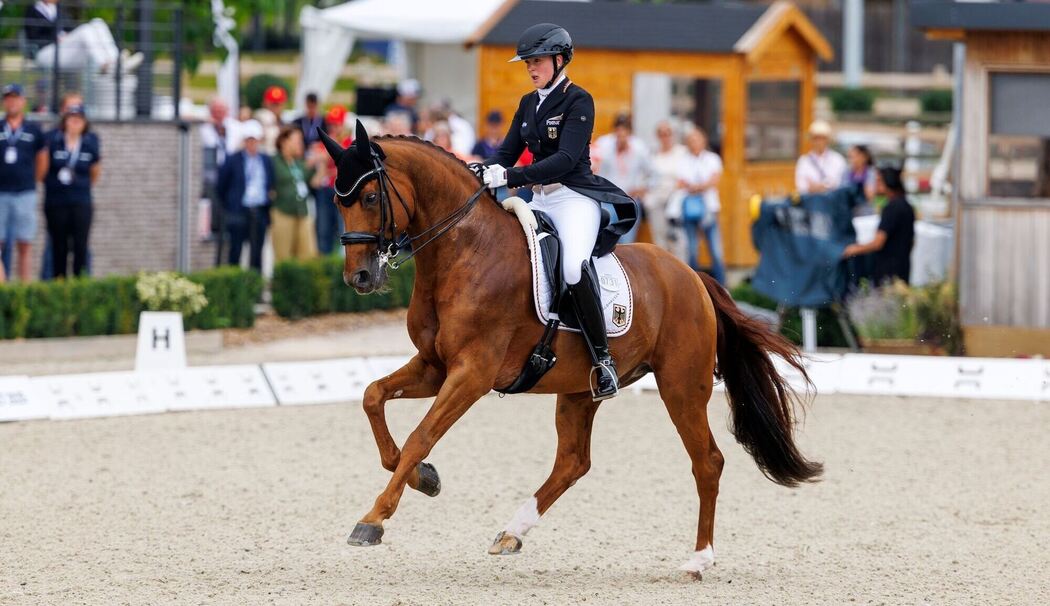 FEI Dressur Europameisterschaft 2025