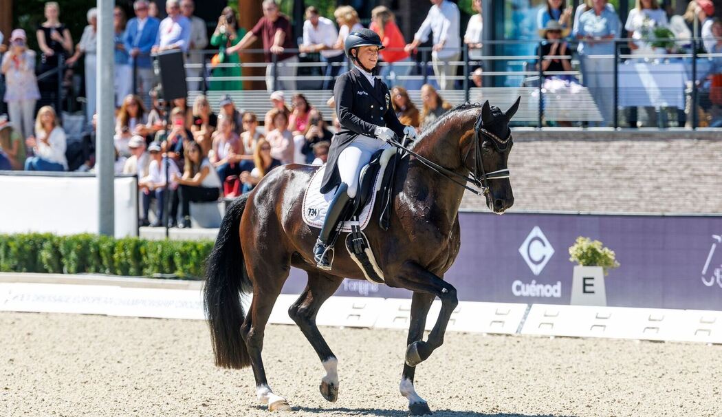 Pferdesport/Dressur: Europameisterschaft