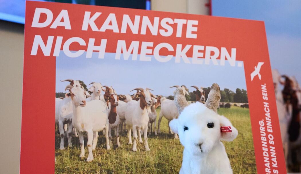 Frühere Kampagne für Brandenburg «Da kannste nich meckern»