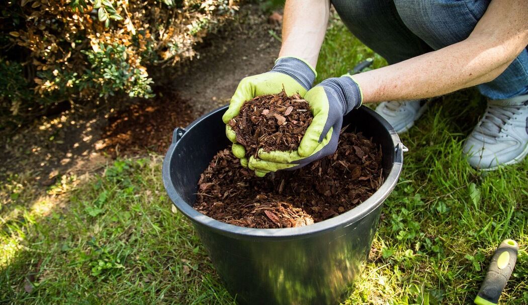 Eine Frau hält Rindenmulch in ihren Händen