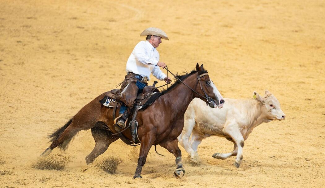 Die Western-Messe Americana - Traum vom Wilden Westen am Bodensee