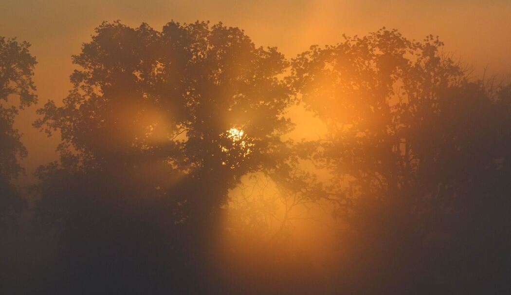 Morgens in Brandenburg