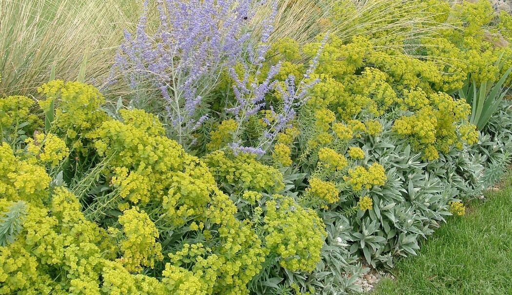 Gartengestaltung mit Stauden