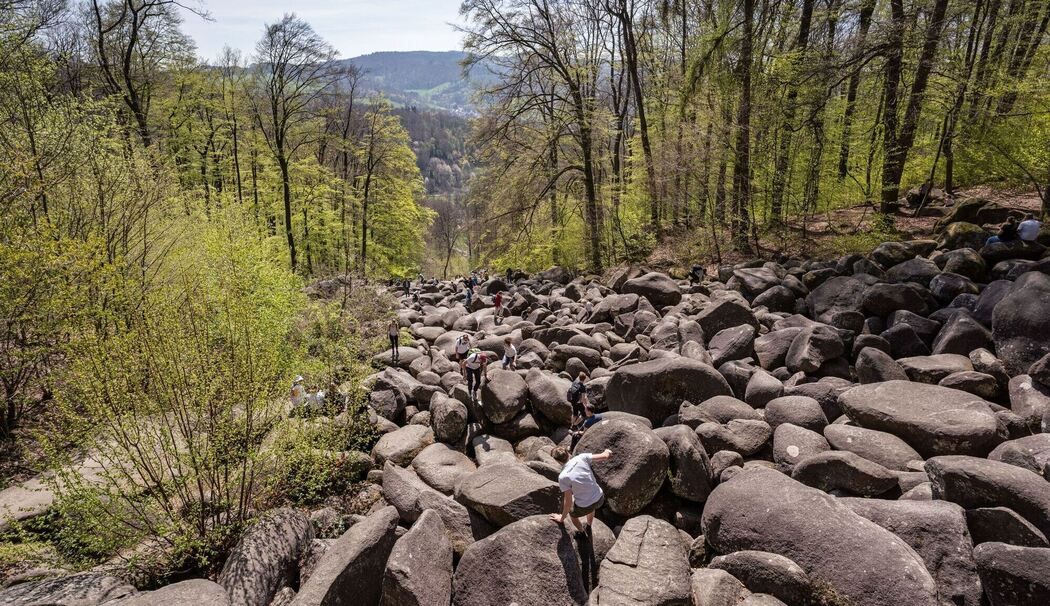 Felsenmeer im Odenwald