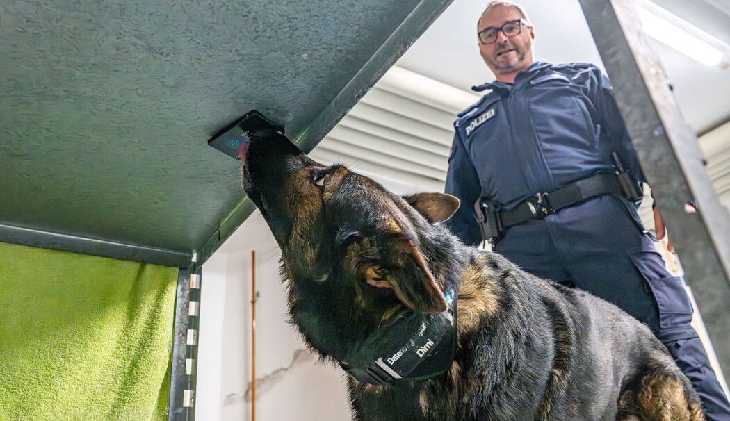 Zentrale Diensthundeschule der Bayerischen Polizei