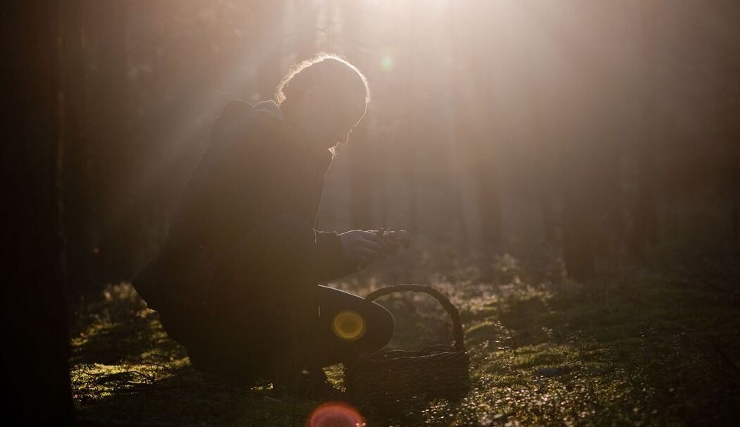 Frau sammelt Pilze im Wald