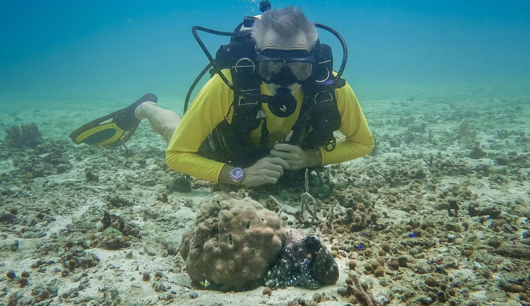TV-Ausblick ZDF - Hannes Jaenicke: Im Einsatz für den Oktopus