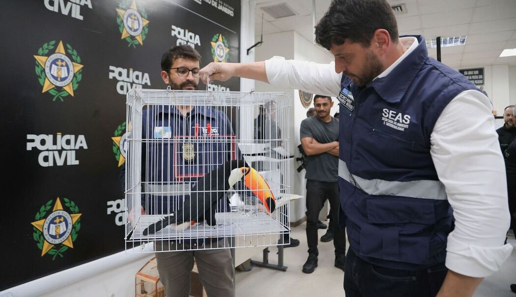 Großer Schlag gegen den illegalen Tierhandel in Brasilien