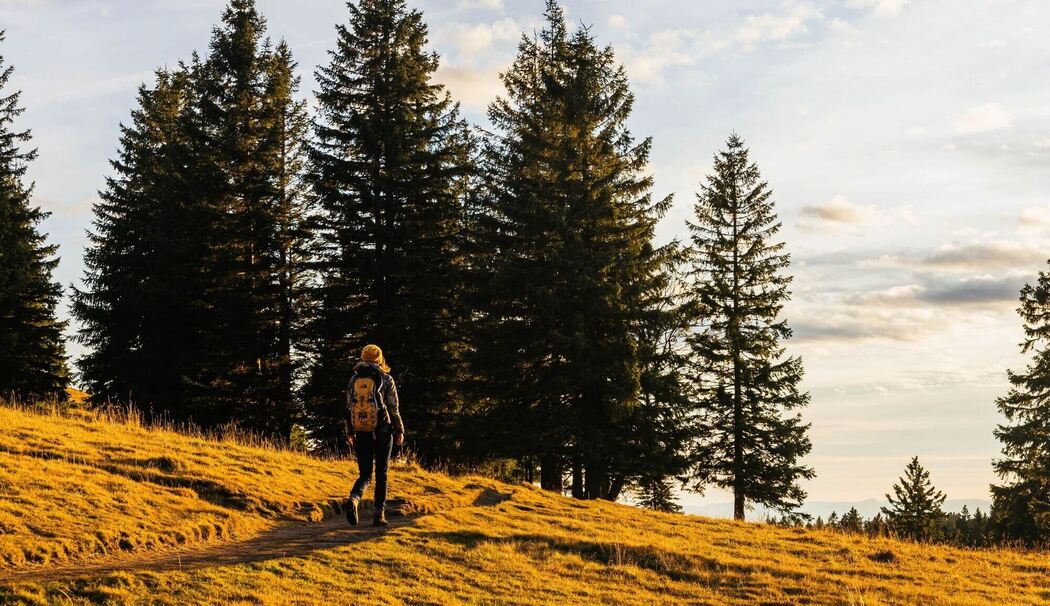 Eine Frau wandert am Feldberg