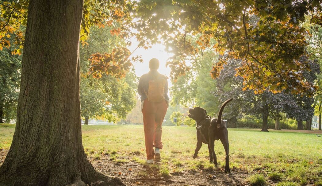 Eine Frau geht mit ihrem Hund im Park spazieren