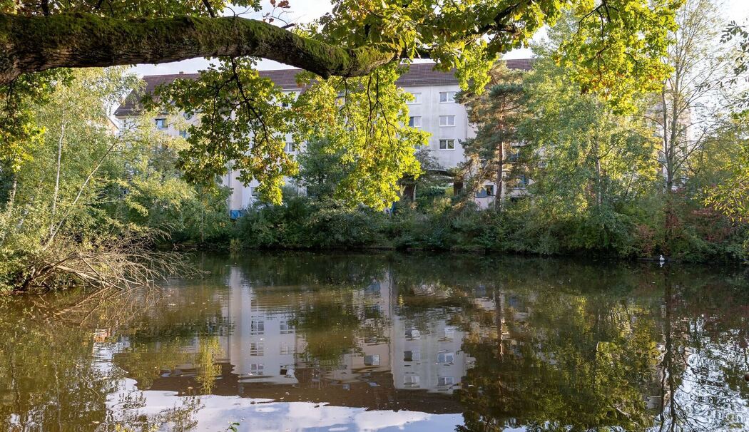 Langwassersee in Nürnberg verunreinigt