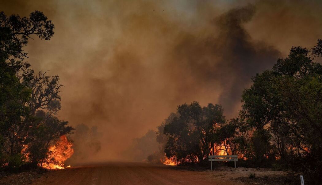 Buschbrände in Australien