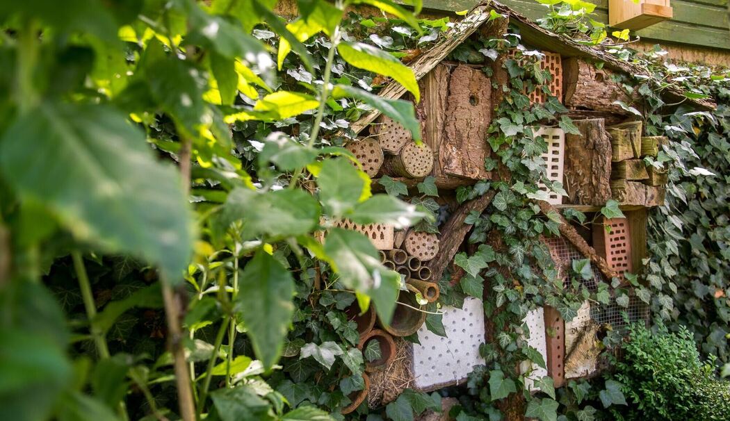 Insektenhotel