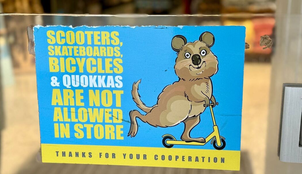 Quokkas auf Rottnest Island