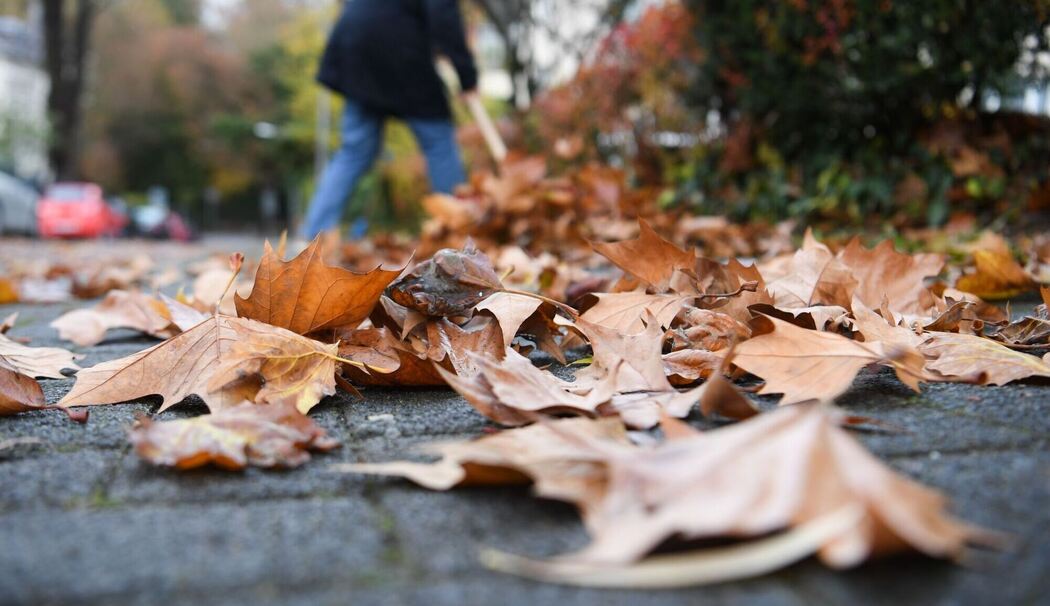 Laub wird von einem Gehweg gefegt Laub wird von einem Gehweg gefegt