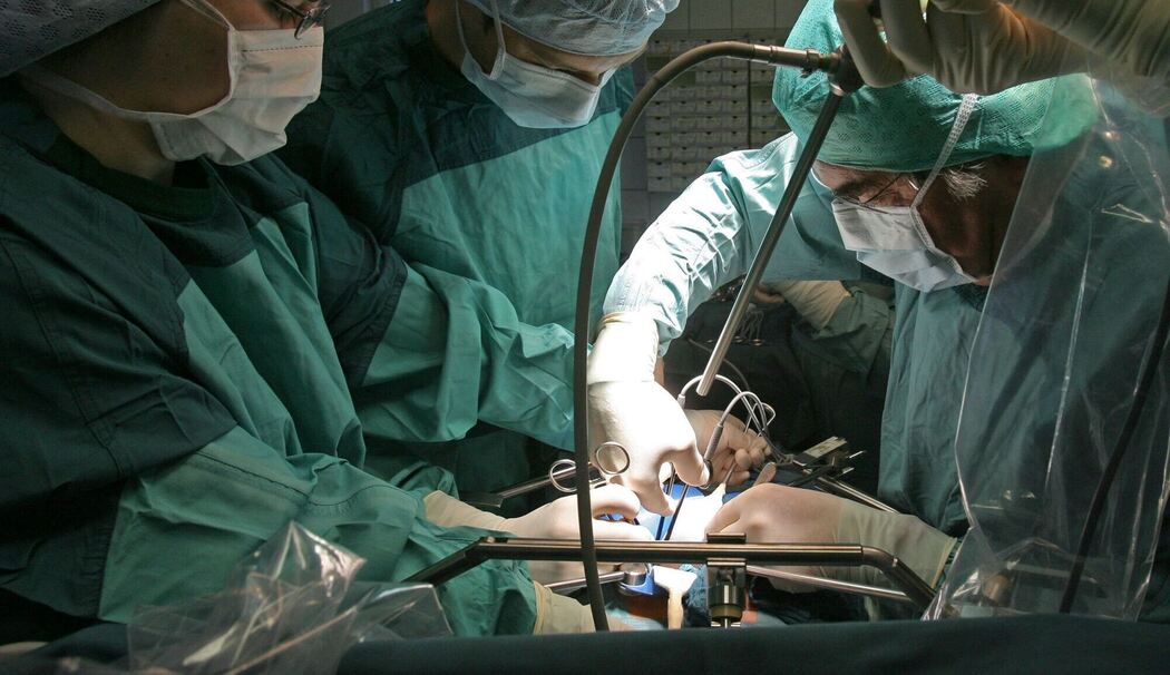 Schweineleber in lebenden Menschen transplantiert