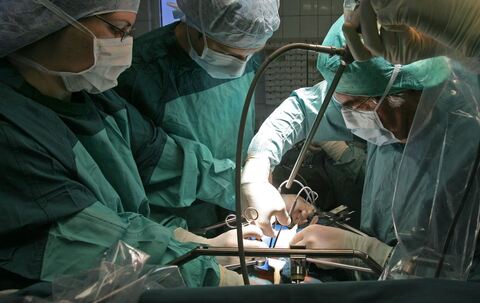 Schweineleber in lebenden Menschen transplantiert