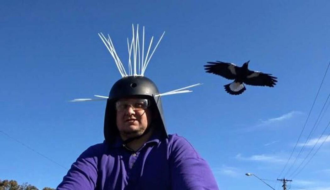 Anti-Magpie-Helm