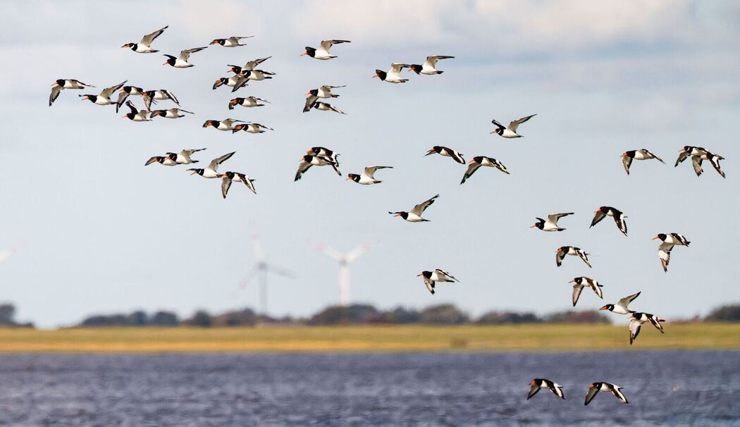 Weltnaturerbestätte Wattenmeer Weltnaturerbestätte Wattenmeer