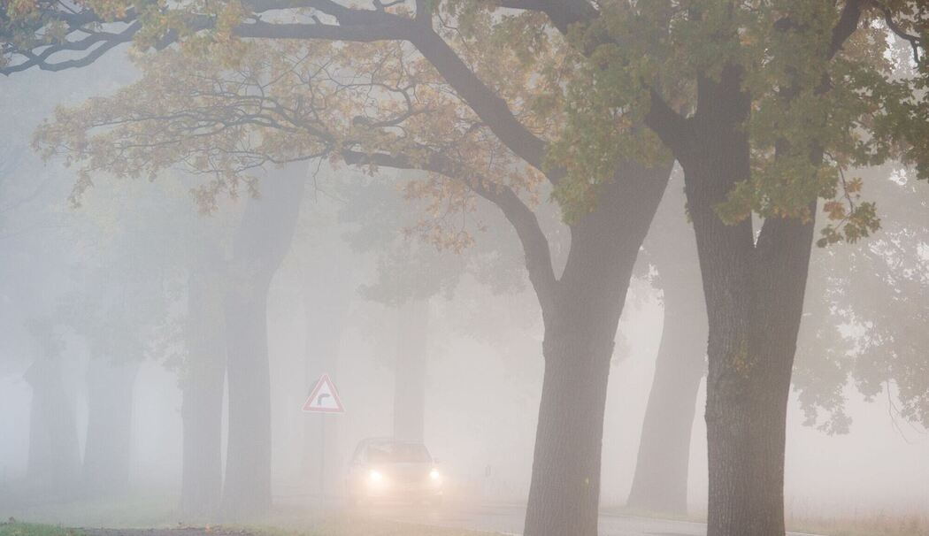 Auto fährt bei Nebel auf einer Landstraße Auto fährt bei Nebel auf einer Landstraße