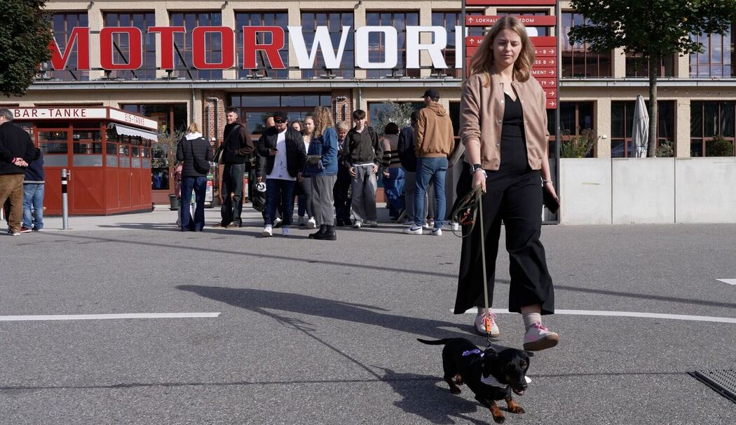 3. Münchner Dackelrennen