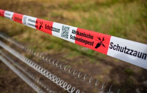 Schutzzäune gegen Afrikanische Schweinepest