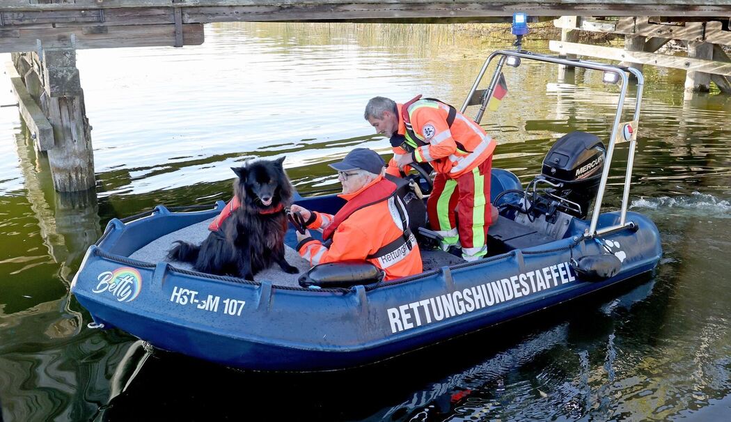 Suche nach vermisstem Achtjährigen mit Suchhund Suche nach vermisstem Achtjährigen mit Suchhund