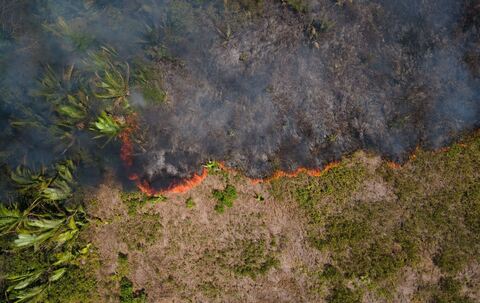 Feuer im Amazonas-Gebiet