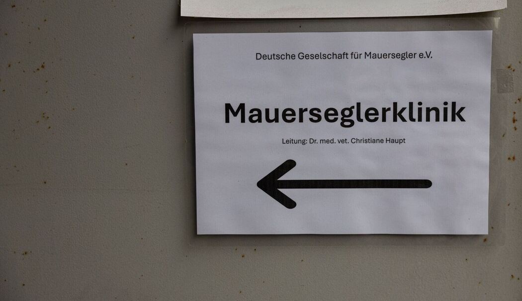 Mauerseglerklinik Frankfurt am Main