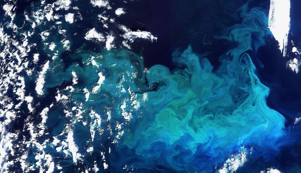 Weniger Plankton durch wärmere Ozeane