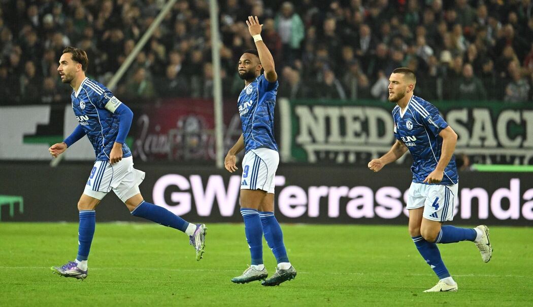 Hannover 96 - FC Schalke 04 Hannover 96 - FC Schalke 04